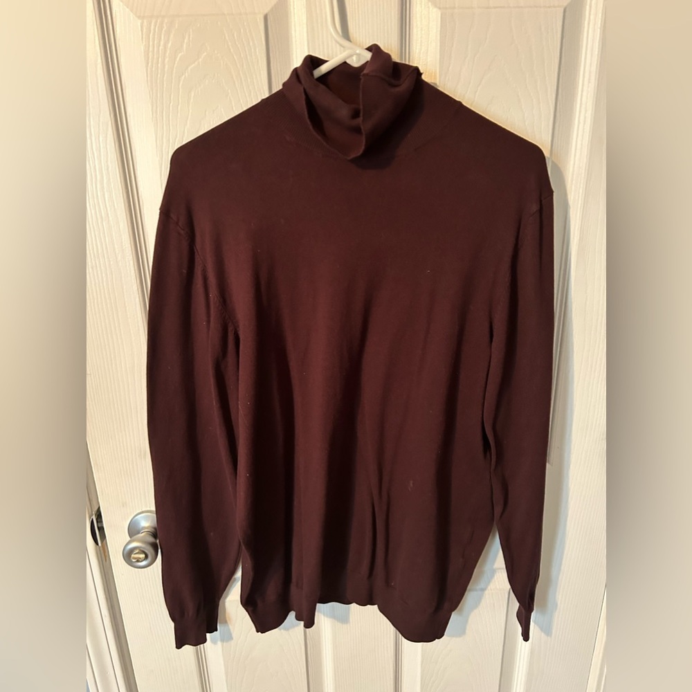 Zara Turtleneck